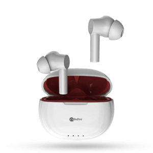 GOOSEBUMPS BePro Earbuds